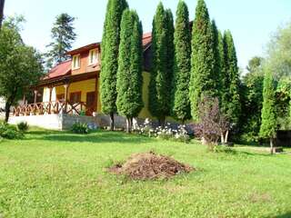 Фото Дома для отпуска Vila Roseta г. Cărbunari